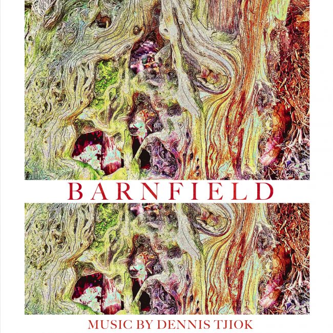Barnfield Cover Page 01.1 comp)